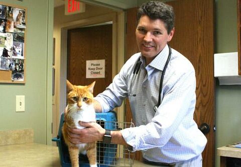 Dr. Cole Bierbaum, veterinarian at Pinnacle Valley Animal Hospital in West Little Rock, uses Benton the foster cat to describe the importance of restraining a pet, like with a carrier or harness, in a vehicle when traveling.