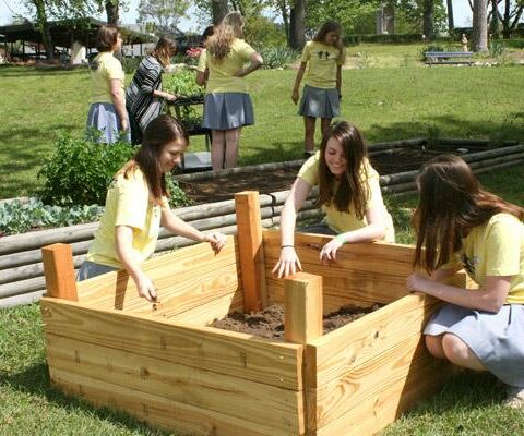 The Mount St. Mary Honeybelles work in their garden beds at the school which help sustain the bee population. In the foreground are Catherine Dobry (left), Lauren Joseph and Cate Willis.